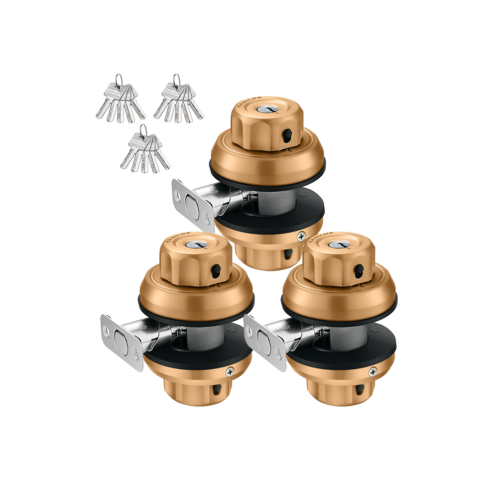 E2 Deadbolt: The Best Built Deadbolt Ever--Highly Rated by LPL