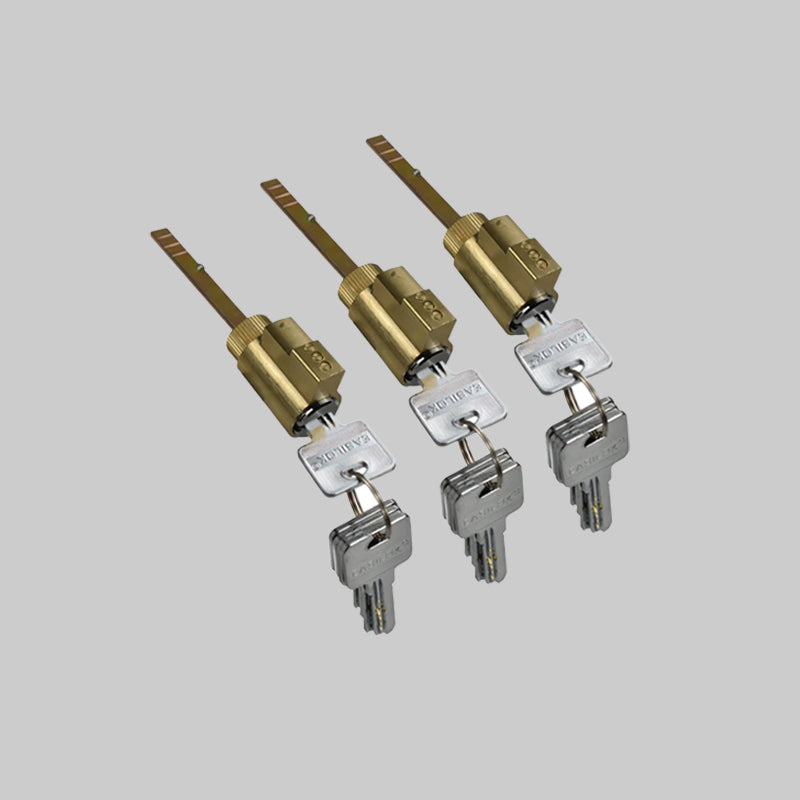 3*E2 Lock cylinder/cores
